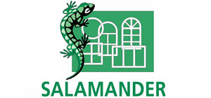 Salamander